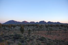 DSC_3764.jpg