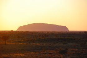 DSC_3772.jpg